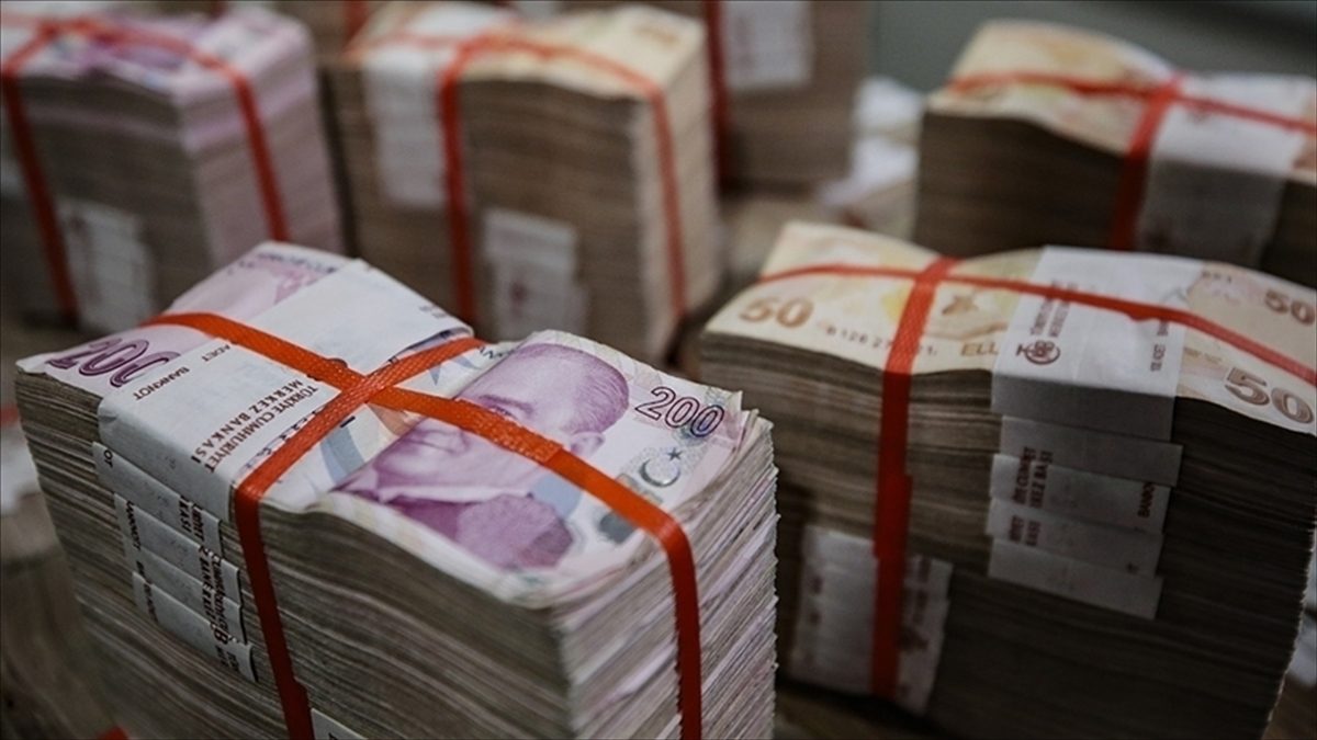 Türkiye'de 2022'de sosyal koruma harcamaları bir önceki yıla göre yüzde