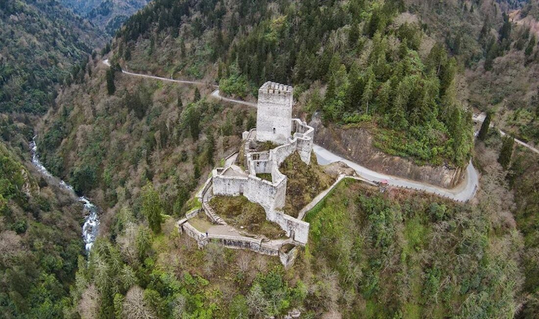 Rize'nin Çamlıhemşin ilçesinde Çat Vadisi'nde, 1. derece arkeolojik sit alanı