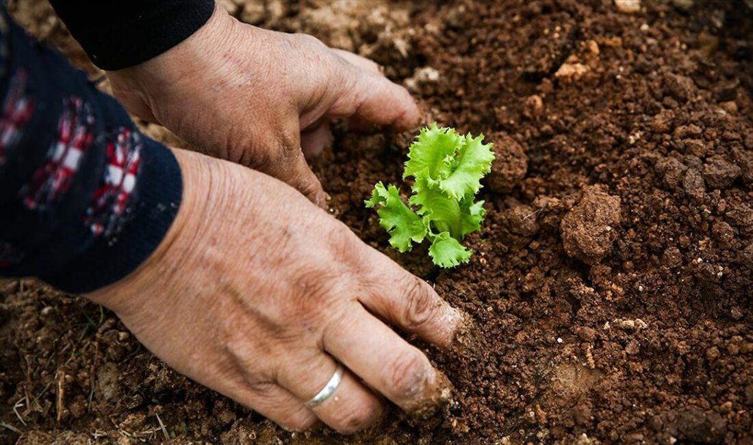 Tarım ve Orman Bakanlığının ilgili kuruluşu Tarım ve Kırsal Kalkınmayı