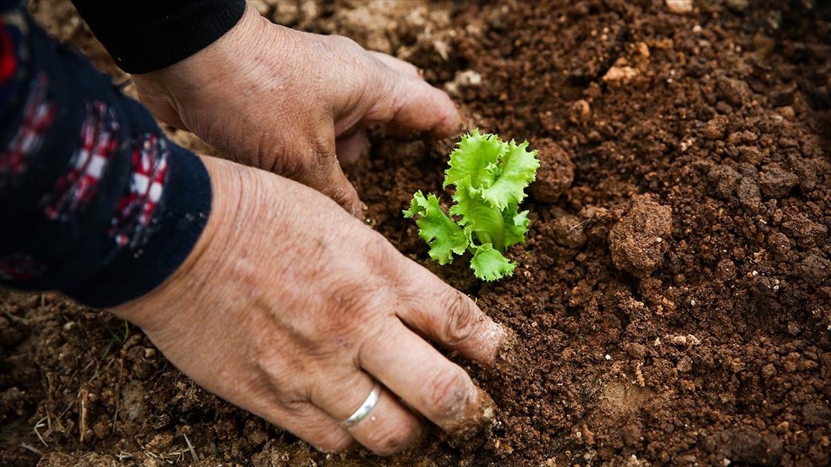 Tarım ve Orman Bakanlığının ilgili kuruluşu Tarım ve Kırsal Kalkınmayı