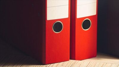 Meclis Başkanvekili ve DEM Parti İstanbul Milletvekili Sırrı Süreyya Önder'in