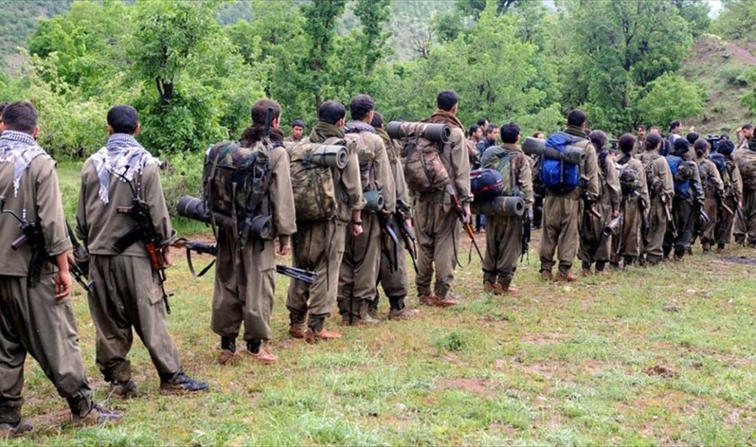 IKBY kontrolündeki köyleri işgal eden terör örgütü PKK, bölgedeki eylemleriyle