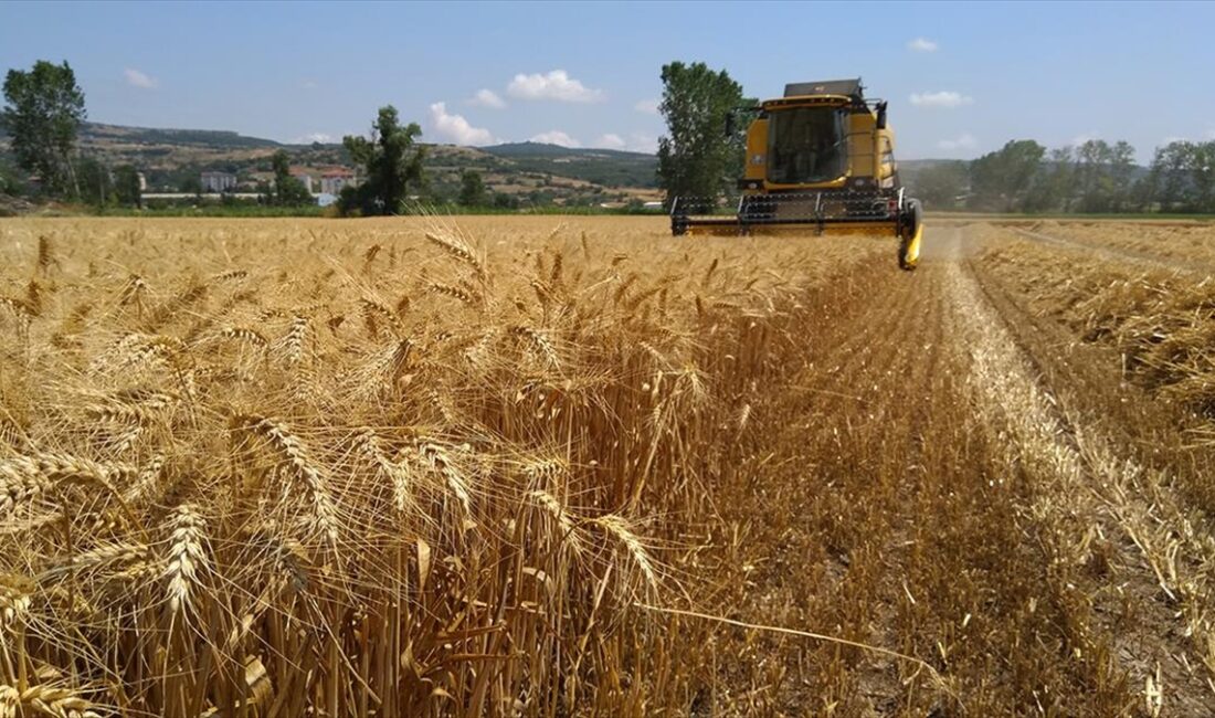 TEKIRDAĞ (AA) – Avrupa Birliği ile Çevre Şehircilik ve İklim