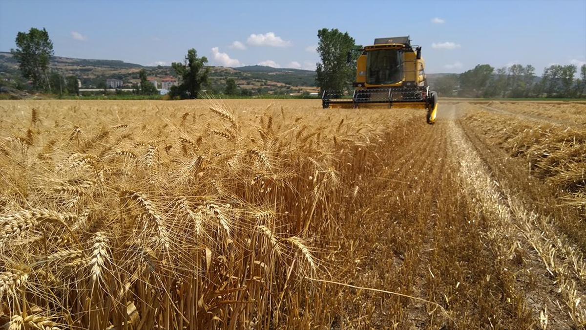 TEKIRDAĞ (AA) – Avrupa Birliği ile Çevre Şehircilik ve İklim