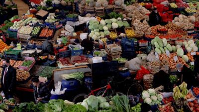 Türkiye'nin toplam tahıl ürünlerinde 2022-2023 piyasa döneminde yurt içi üretimin