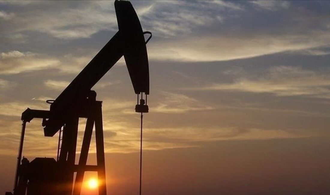 Türkiye'nin toplam petrol ve petrol ürünleri ithalatı, ocakta geçen senenin
