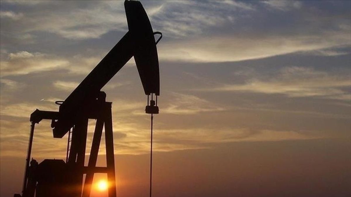 Türkiye'nin toplam petrol ve petrol ürünleri ithalatı, ocakta geçen senenin