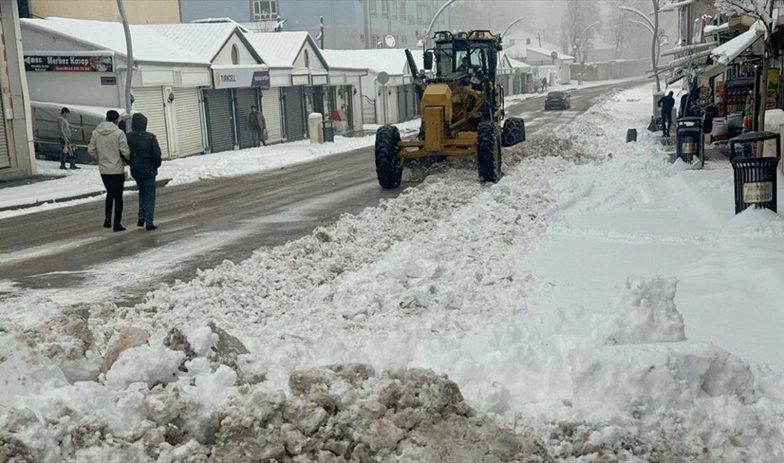 Van, Bitlis, Hakkari ve Muş'ta dün geceden bu yana aralıklarla