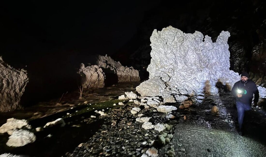 VAN (AA) – Çatak ilçesine 15 kilometre mesafedeki Kaçit Mahallesi