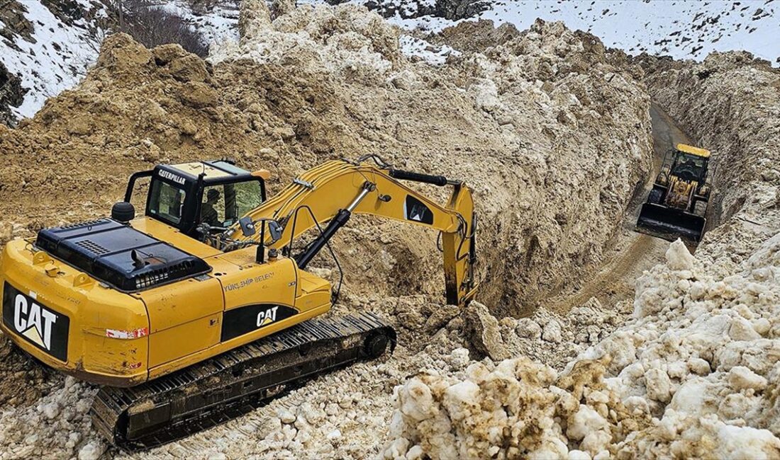 Van'ın Çatak ilçesinde çığın düştüğü mahalle yolunda çalışma başlatıldı.