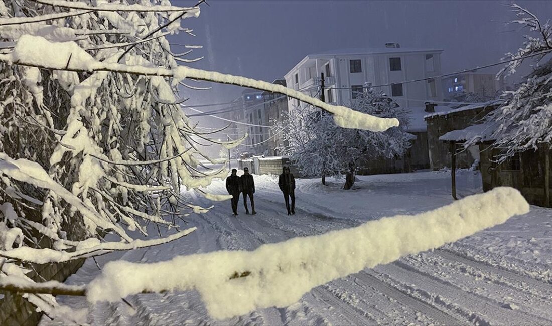 Van'da dünden bu yana etkili olan sağanak ve kar nedeniyle