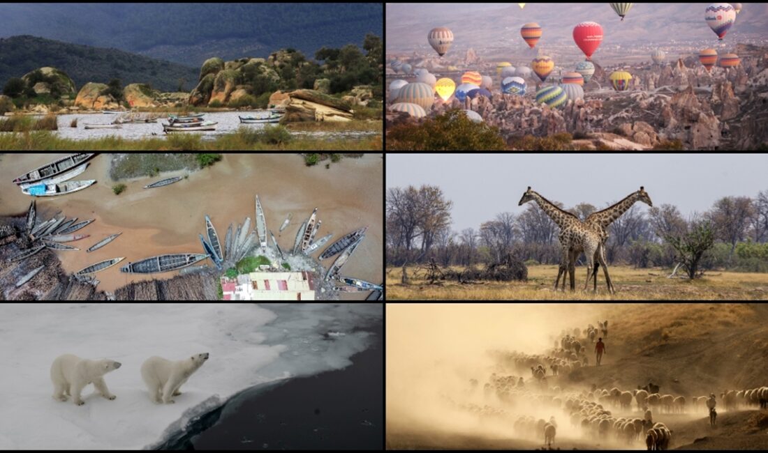 Dünya Meteoroloji Örgütü (WMO), 2023'ün, kayıtlara en sıcak yıl olarak