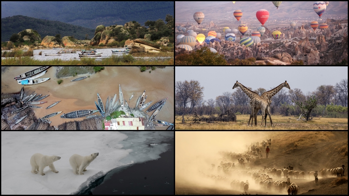 Dünya Meteoroloji Örgütü (WMO), 2023'ün, kayıtlara en sıcak yıl olarak