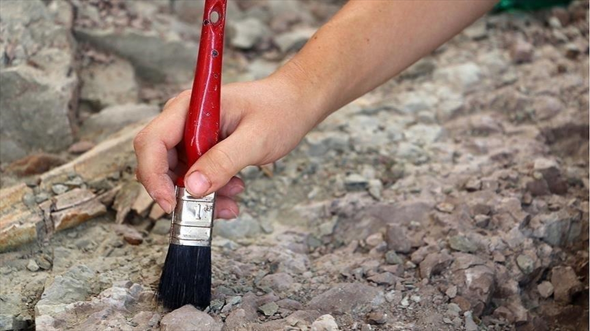 GÜMÜLCINE (AA) – Yunanistan Kültür Bakanlığınca yayımlanan açıklamada, Ege’nin güneyinde