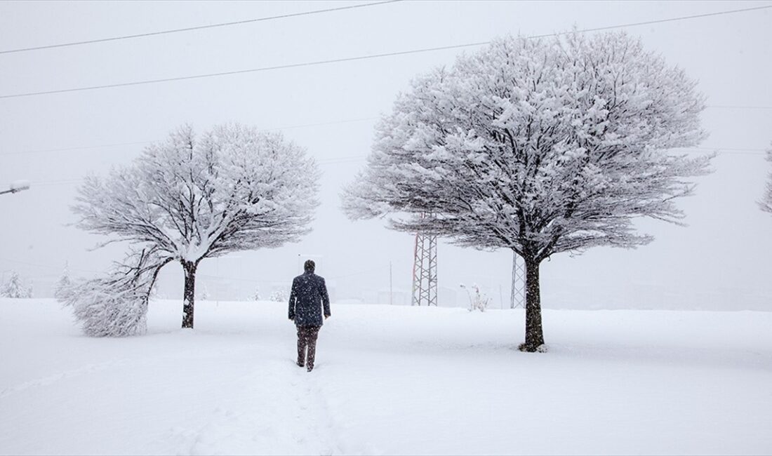 Meteoroloji Genel Müdürlüğü, yurdun doğusundaki bazı iller için kar ve
