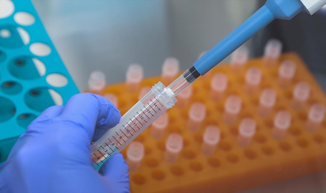 ABD, Kuzey Kore'nin gen düzenleme yöntemi CRISPR'ı kullanarak biyolojik silahlar