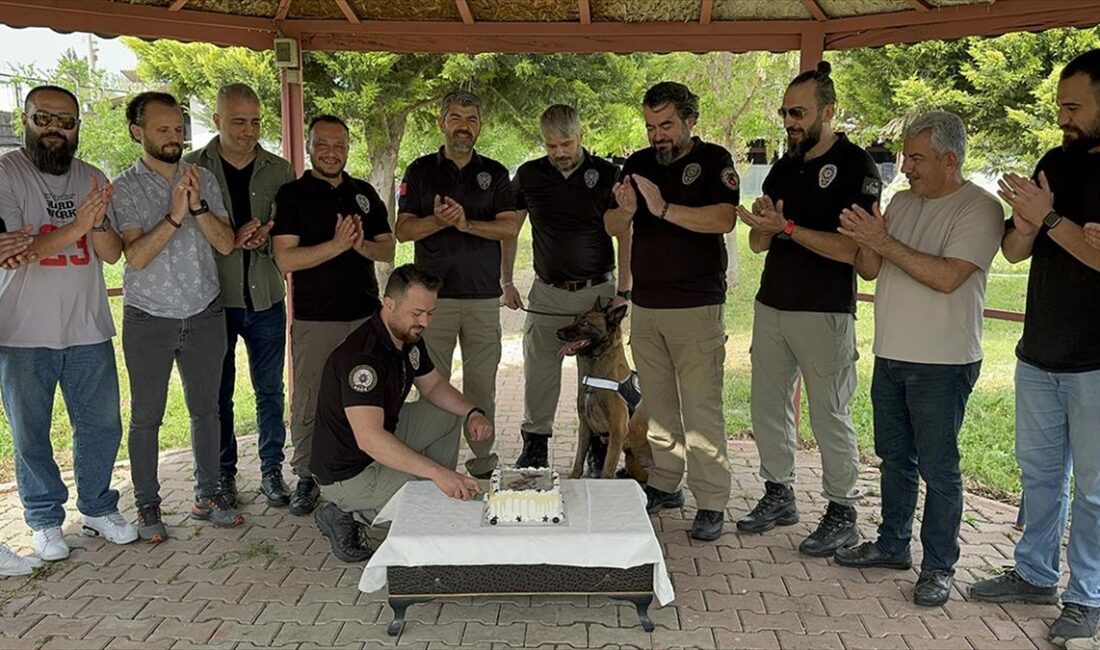 Adana'da polis ekipleri, narkotik dedektör köpeği "Hulk" için doğum günü