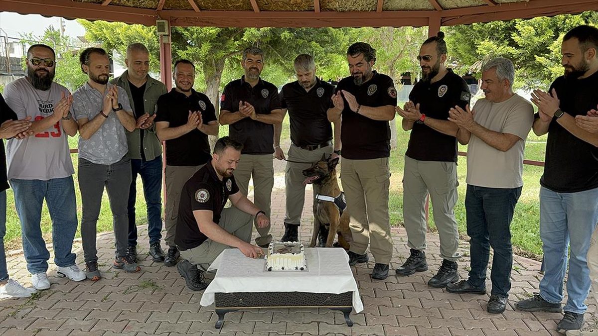 Adana'da polis ekipleri, narkotik dedektör köpeği "Hulk" için doğum günü