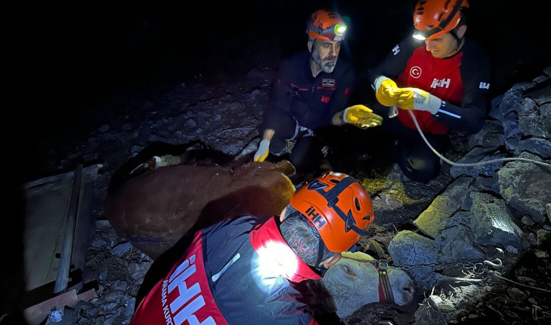 ANTALYA (AA) – Antalya'nın Alanya ilçesinde kamyon kasasından düşerek uçuruma