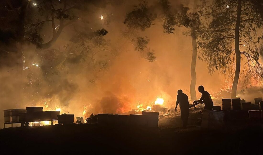 ANTALYA (AA) – Antalya'nın Kemer ilçesinde otluk alanda çıkan yangın,