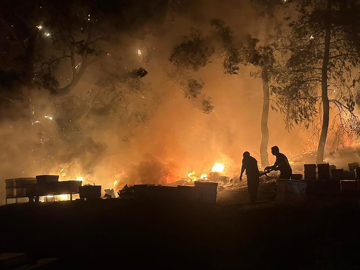 ANTALYA (AA) – Antalya'nın Kemer ilçesinde otluk alanda çıkan yangın,