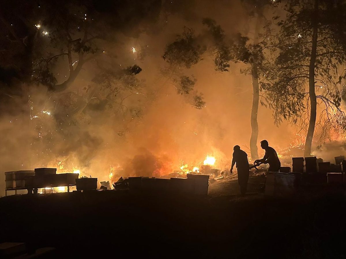 Antalya'da otluk alanda çıkan yangında arı kovanları zarar gördü