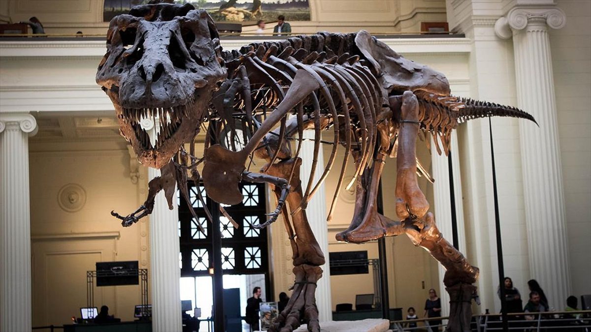 Aralarında davranış bilimci, paleontolog ve nörologların bulunduğu uluslararası araştırma heyeti,