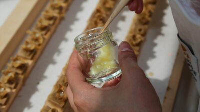 ANKARA (AA) – Tarım ve Orman Bakanlığının “T&uuml;rk Gıda Kodeksi