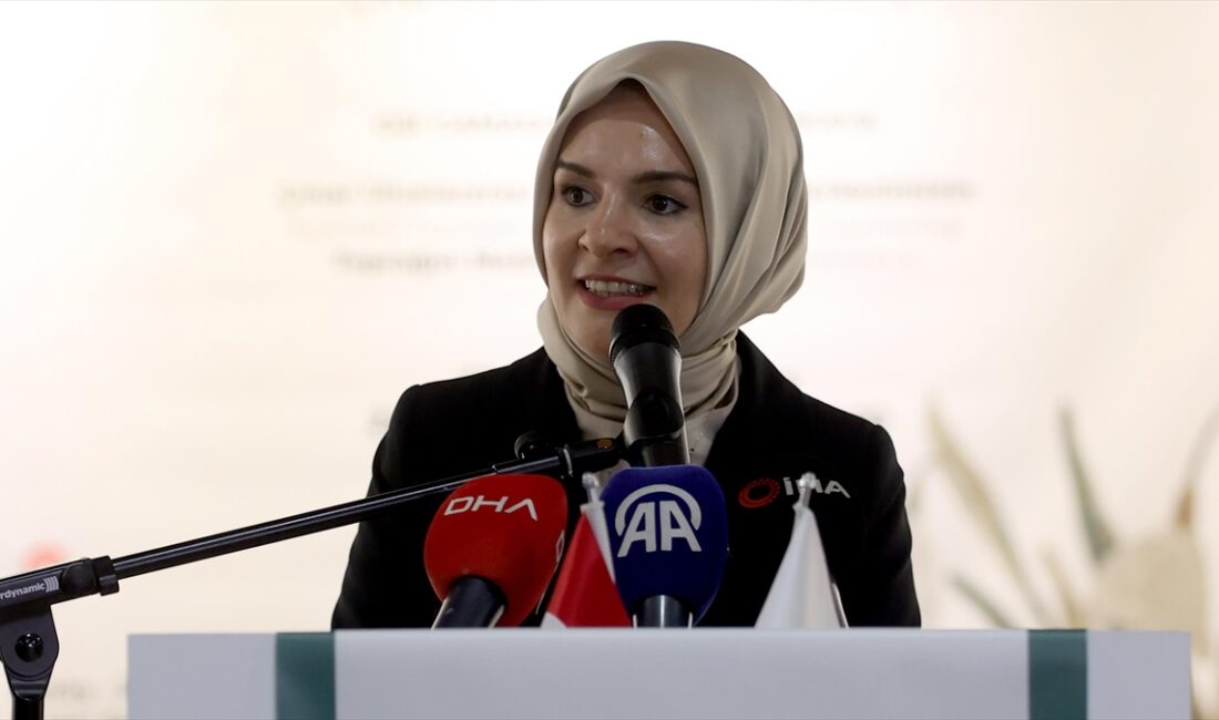 Aile ve Sosyal Hizmetler Bakanı Göktaş, "Sayın Cumhurbaşkanımız liderliğinde yürüttüğümüz,