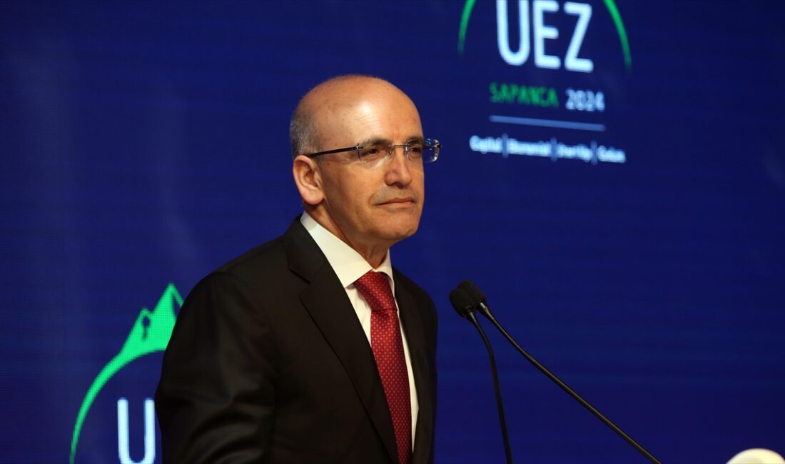 Hazine ve Maliye Bakanı Mehmet Şimşek, kamuda tasarruf konusundaki çalışmaların
