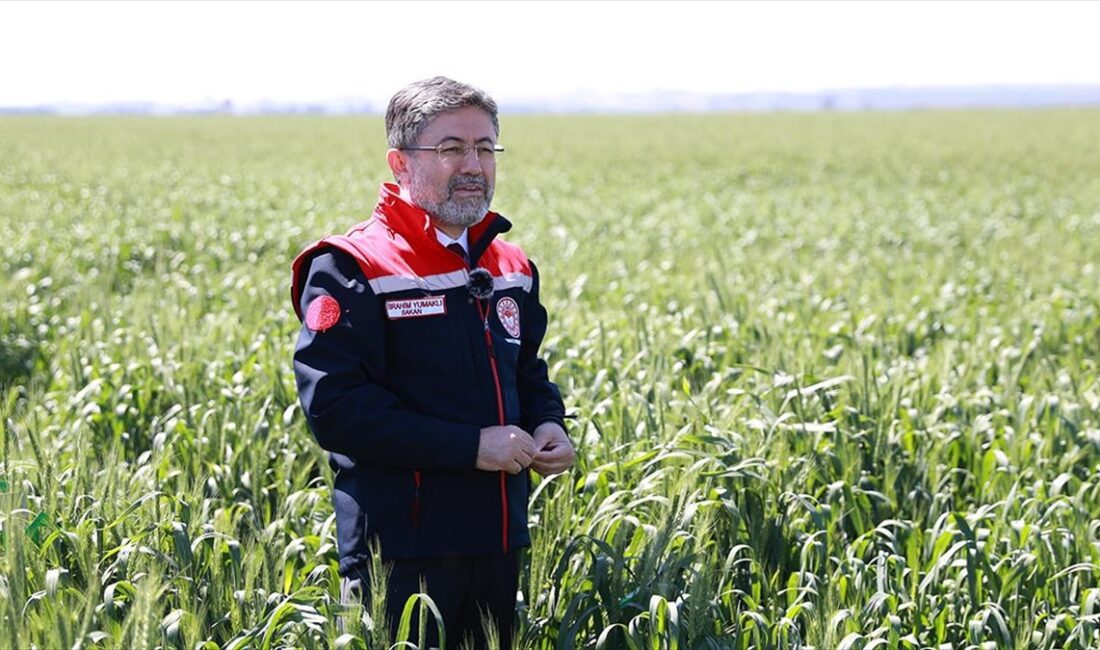 Tarım ve Orman Bakanı İbrahim Yumaklı, çim alanların bir kısmının