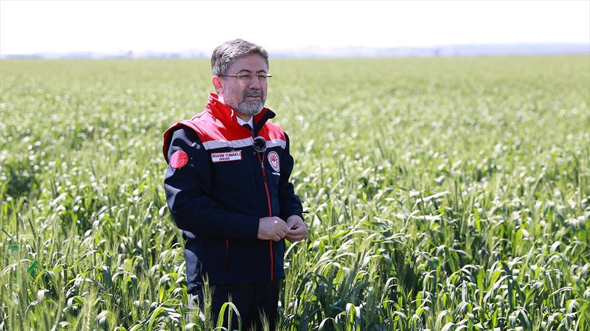 Tarım ve Orman Bakanı İbrahim Yumaklı, çim alanların bir kısmının