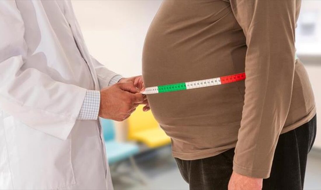 Bilim insanları, obezite riskini artıran 2 yeni genetik varyant belirlediklerini