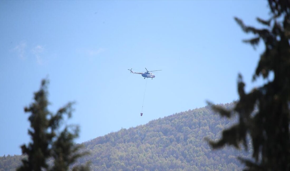 Bursa'da, Uludağ'ın eteklerinde çıkan orman yangını kontrol altına alındı.