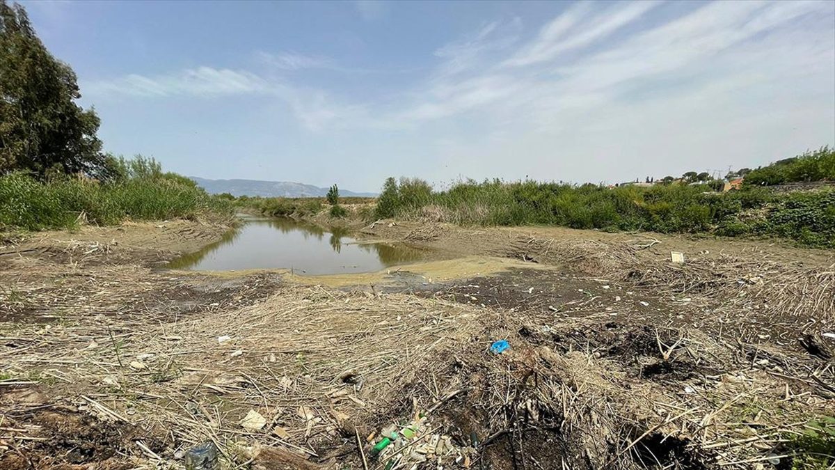 Aydın Ovası'nın sulamada can damarı olan Büyük Menderes Nehri'nin bazı