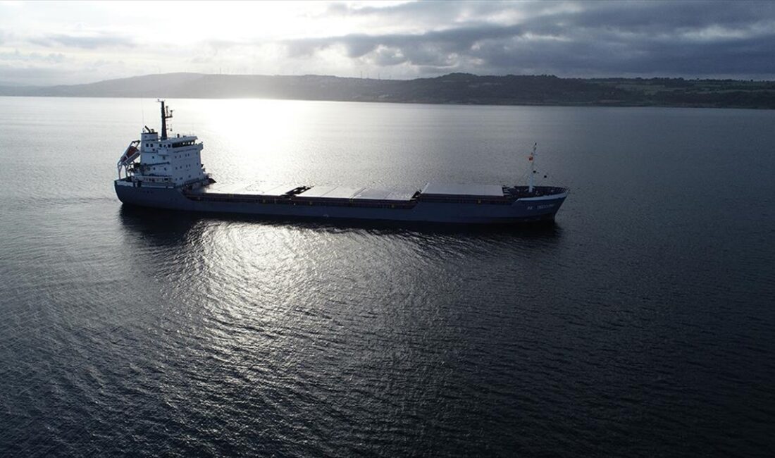 Mısır'dan Bulgaristan'a seyir halinde olan Barbados bayraklı gemide, Çanakkale Boğazı'nda