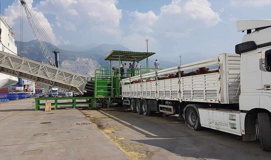 ANKARA (AA) – Tarım ve Orman Bakanlığının Canlı Hayvan ve