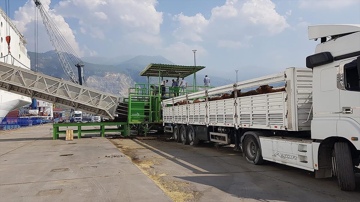 ANKARA (AA) – Tarım ve Orman Bakanlığının Canlı Hayvan ve