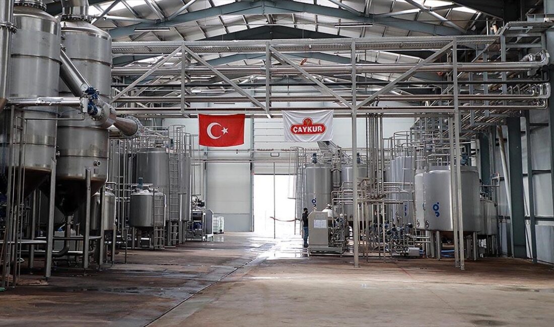 Çay İşletmeleri Genel Müdürlüğü (ÇAYKUR) bünyesindeki fabrikalarda çalıştırılmak üzere 1072