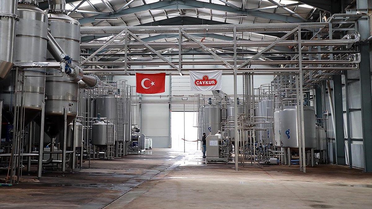 Çay İşletmeleri Genel Müdürlüğü (ÇAYKUR) bünyesindeki fabrikalarda çalıştırılmak üzere 1072