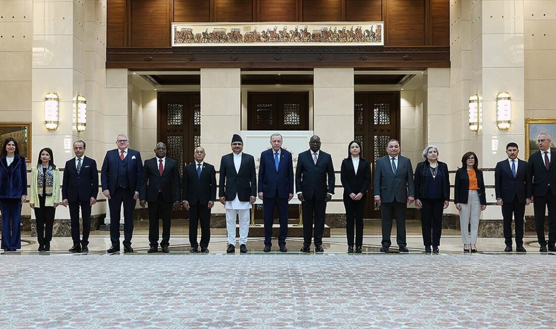Cumhurbaşkanı Recep Tayyip Erdoğan, Honduras, Namibya, İzlanda, Mozambik, Mauritius, Nepal