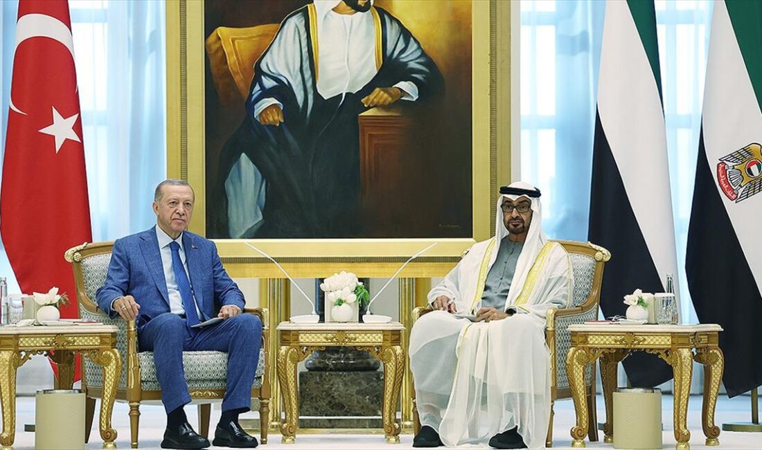 Cumhurbaşkanı Recep Tayyip Erdoğan, Birleşik Arap Emirlikleri (BAE) Devlet Başkanı