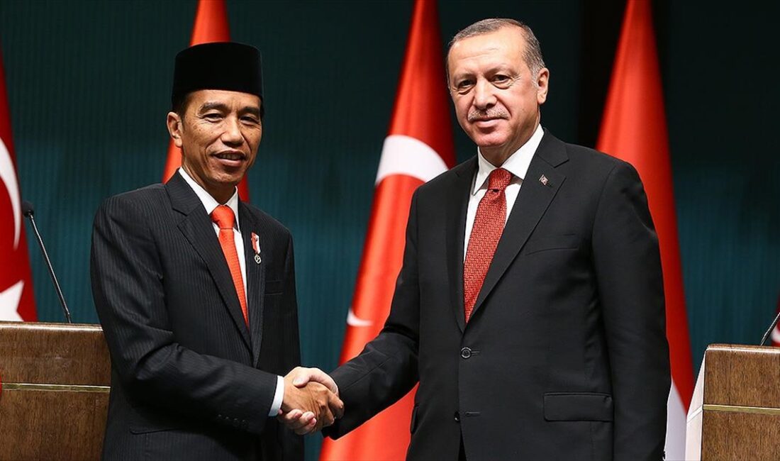 Cumhurbaşkanı Recep Tayyip Erdoğan, Endonezya Devlet Başkanı Joko Widodo ile