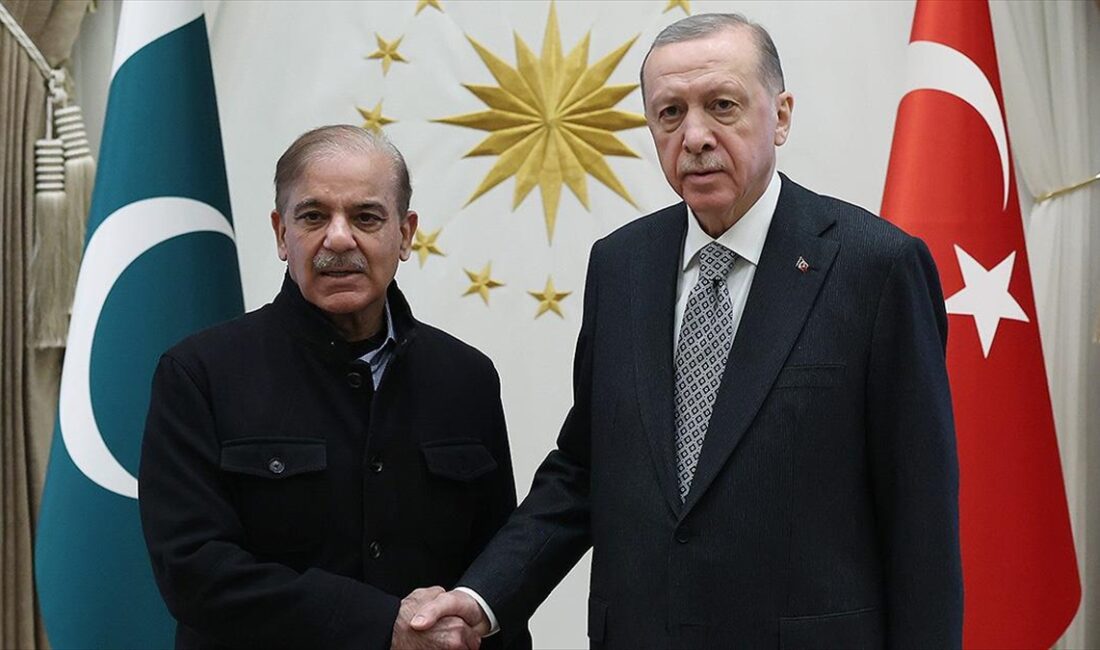İki ülke ilişkileri ve küresel konuların ele alındığı görüşmede Cumhurbaşkanı