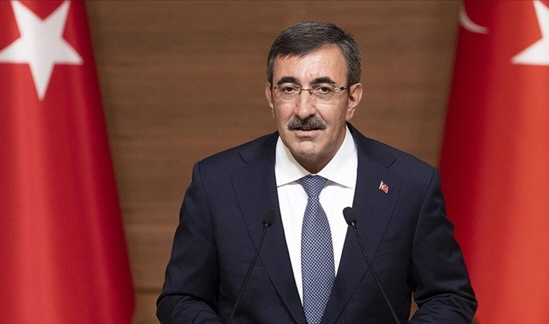 Cumhurbaşkanı Yardımcısı Yılmaz,"Bu yılın ikinci yarısından itibaren enflasyonla mücadelemizin sonuçlarını