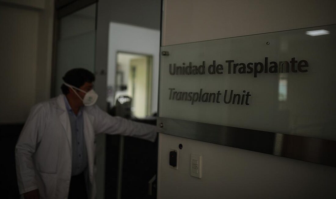 Dünya Sağlık Örgütü (DSÖ), dünya genelinde hepatit B ve C