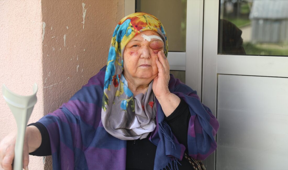 Edirne'de sahipsiz köpeklerin saldırısından kaçarken düşen yaşlı kadın yaralandı. 75