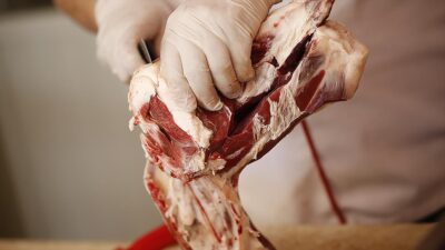 Et ve Süt Kurumu (ESK), gıda denetim hizmetlerinde ve tüketici