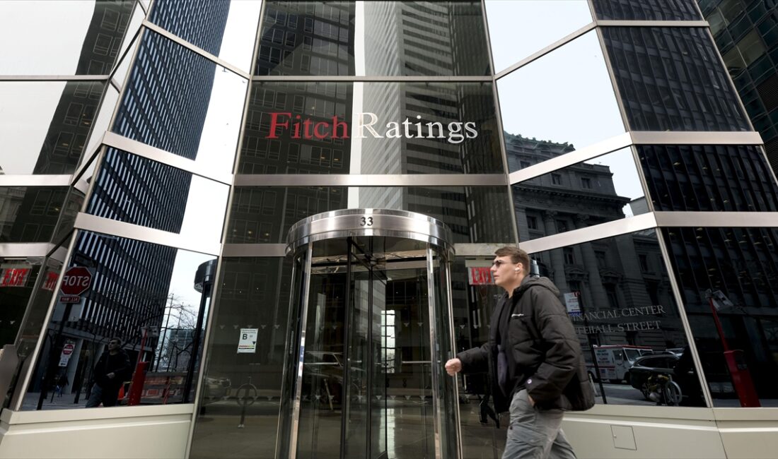 Fitch Ratings Kıdemli Direktörü ve Türkiye Analisti Erich Arispe Morales,
