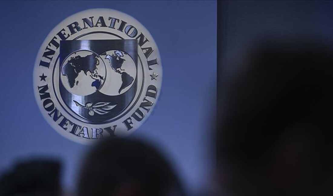 Uluslararası Para Fonu (IMF), G20'nin gelişmekte olan piyasa ekonomilerindeki şokların